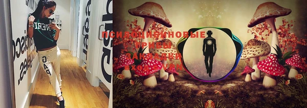 марки lsd Балабаново
