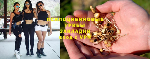 марки lsd Балабаново