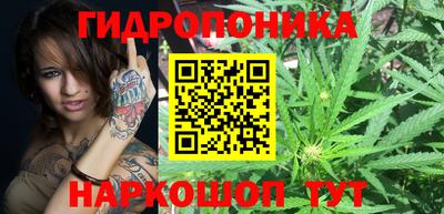 ПСИЛОЦИБИНОВЫЕ ГРИБЫ Кандалакша